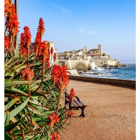 Apartman Antibest2 2 Pers Sea Pool Terrac Park 14 Night Min Antibes